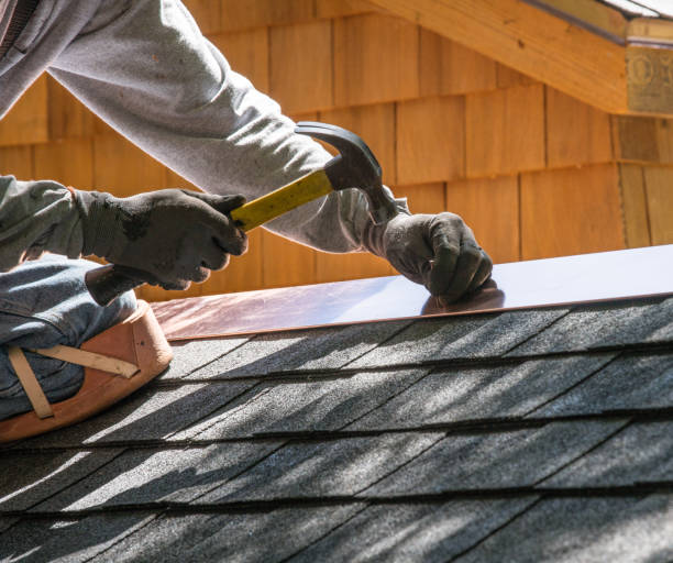 Roof Gutter Cleaning in Hammond, IN